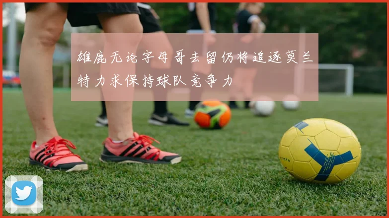 雄鹿无论字母哥去留仍将追逐莫兰特力求保持球队竞争力